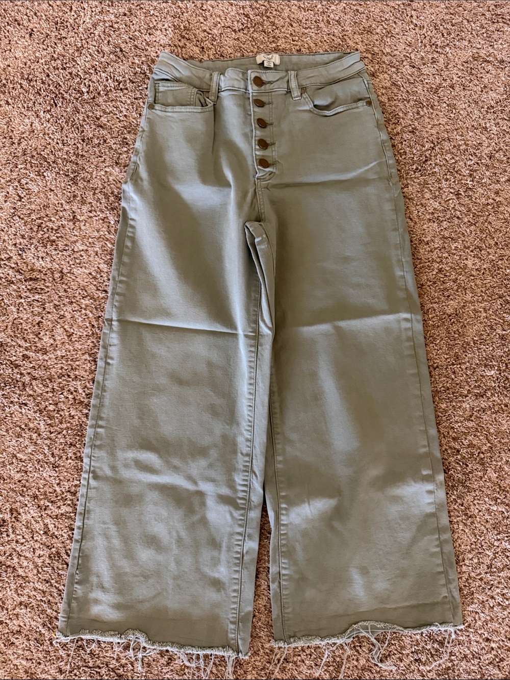 Easel High-Rise Wide Leg Jeans in Olive